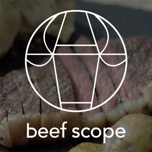 Beef Scope